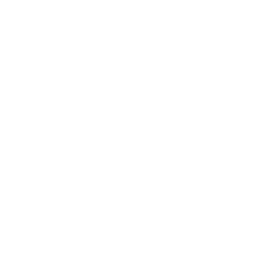 Communicatiebureau Brugge - Mioo Design - Klant Logo Aniwayz - West-Vlaanderen